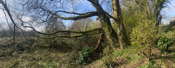 La campagne &agrave; Briec en Bretagne Finist&egrave;re