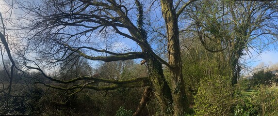 La campagne &agrave; Briec en Bretagne Finist&egrave;re