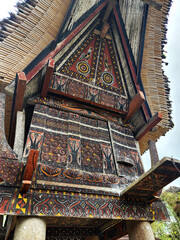 The Toraja Tongkonan house wall carvings and paintings Rantepao Toraja Sulawesi