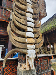 Buffalo head skull with horn decoration on Tongkonan traditional house in Rantepao Toraja