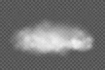 White cloud. Smoke shape on transparent background. Realistic fog texture with soft edges and natural diffusion. Atmospheric weather element. Realistic vector illustration.