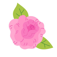 Pink cute rose flower with green leaves. Flat vector illustration isolated on white background. Gentle floral element for greeting cards and decorative nature projects