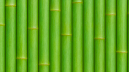 Fresh green bamboo stalks texture background pattern