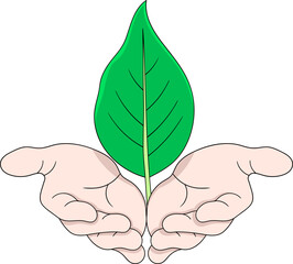 Hands Holding Green Leaf Nature Protection Concept Illustration