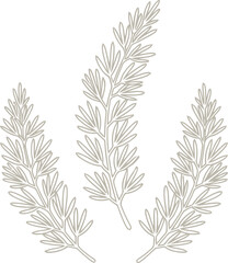 Obraz premium Delicate abstract sprig icon. Natural botanical element for decoration. Simple outline black and white style. Vector illustration for design