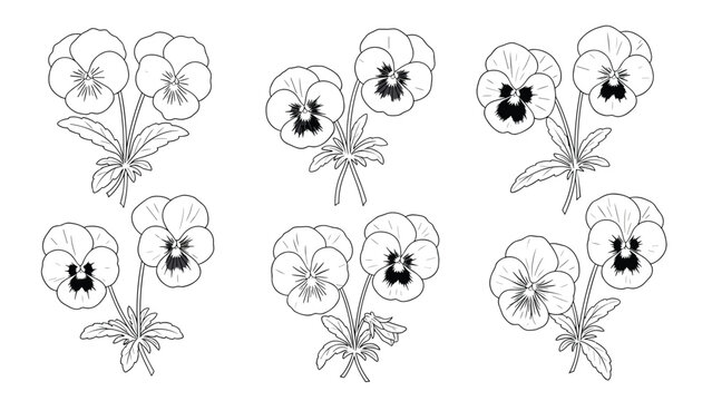 A collection of six pansy flower illustrations in a clean black and white line art style, perfect for coloring or design.