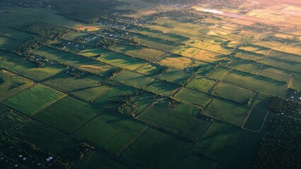 Breathtaking Aerial View of Vast Green Agricultural Fields at Sunset with Scenic Horizons and Patchwork Patterns