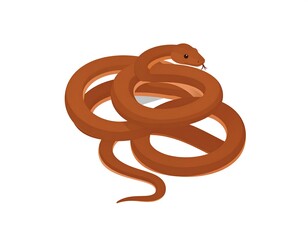 Fototapeta premium A coiled reptile, depicted in a simple vector illustration, features a light brown color with a thin, forked tongue. The creature is on a white background