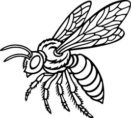 Obraz premium detailed black and white bee illustration with wings and segmented body