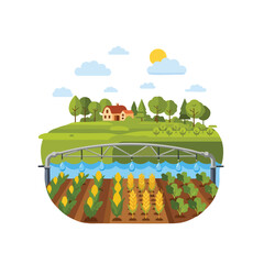 Illustration of a farm with rows of crops and an irrigation system under a sunny sky with a house and trees in the background.