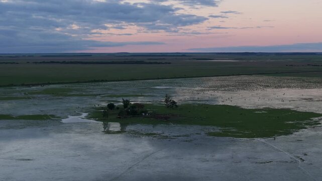 Atardecer en esteros humedal casa de campo ganado Corrientes Argentina