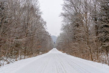 Obraz premium Road in winter snow forest at Russian, Primorsky krai, with the beautiful Siberian scenery in Ussuri national park. 