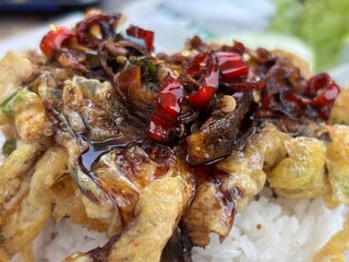 Spicy fried fish topped with chili sauce served on white rice. Close-up food photography showing crispy texture and rich flavors, suitable for culinary, restaurant, and Asian food content.