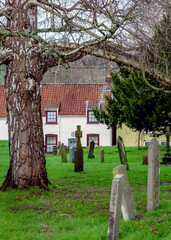 A view of a churchyard with gravestones, a tree, and a building in the background.