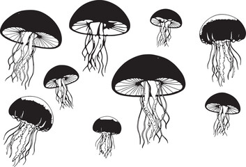 Collection of hand drawn mushrooms with detailed roots isolated
