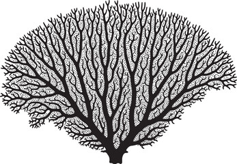 Hand drawn winter tree with bare branches isolated on transparent background