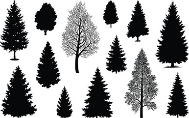 Obraz premium Collection of black pine tree silhouettes and forest nature elements isolated on a white background,