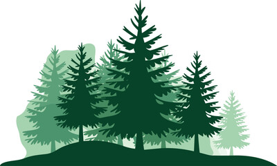 Green evergreen forest vector illustration featuring multiple layers of pine trees on a rolling hill, © Masud