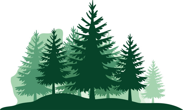 Green evergreen forest vector illustration featuring multiple layers of pine trees on a rolling hill,