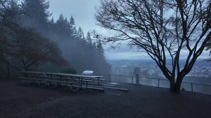 4K smooth stabilized footage of a quiet city overlook in early morning. Benches, trees, and soft shadows create a gloomy, mystic, gothic and cinematic urban atmosphere. Dramatic or sad background.