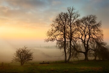Obraz premium Misty sunset at Mickleton, Cotswolds, Chipping Campden, Gloucestershire, England
