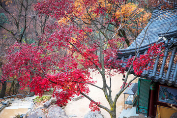 수종사 가을풍경