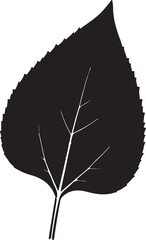 Single leaf silhouette