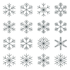 Winter Snowflakes and Frozen Nature Elements Collection