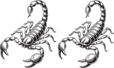 Obraz premium Hand drawn style Scorpion silhouette set isolated on transparent background