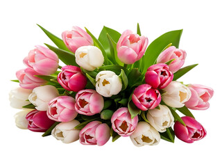 Vibrant pink and white tulip bouquet