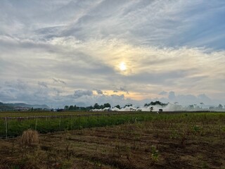 Wide agricultural field landscape under a cloudy sunset sky with light smoke in the distance. Rural countryside scene suitable for farming, agriculture, environment, and landscape concepts.