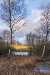 Beautiful evening on a cold autumn evening in Denmark - Lake in the background