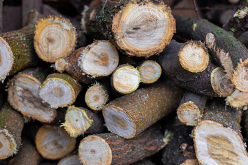 Firewood for the barbecue. A pile of freshly cut logs and branches, wood structure.