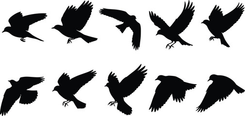 Obraz premium Flying bird silhouette collection, dynamic crow and raven wing poses monochrome vector illustration set for wildlife design, nature symbols, tattoo, logo graphics