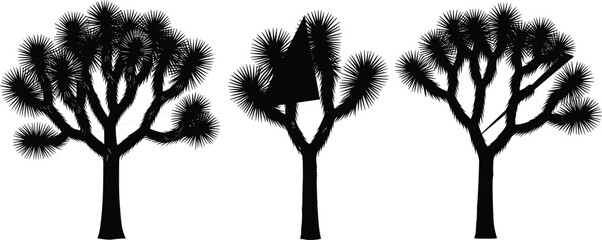 Joshua tree silhouette collection, iconic desert yucca plants monochrome vector illustration set for arid landscape design, western nature art, logo branding graphics