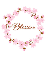 Hand drawn sakura blossom wreath with pink cherry flowers forming a circular floral frame isolated on white background. The illustration represents spring season, renewal and romantic nature concept