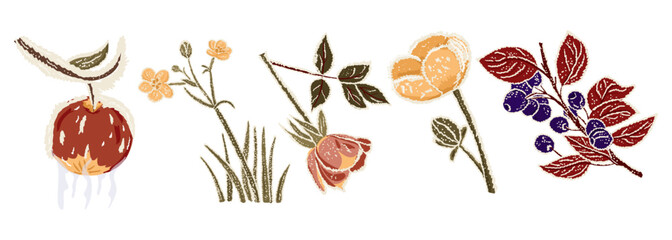 Hand drawn frozen flora elements with flowers, berries and plants covered in ice isolated on white background. The illustration represents winter nature, cold season beauty and frozen concept