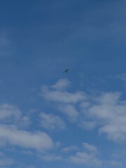 Obraz premium Airplane flying high in a clear blue sky during daytime, minimalistic aviation background with copy space. Concept of travel, freedom, transportation, and modern air travel.