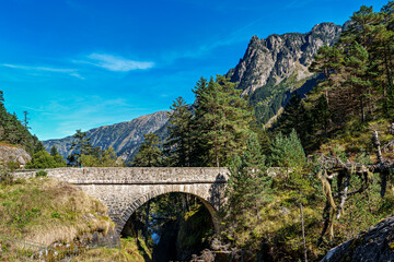 Pont d'Espagne Bridge in Cauterets, pine forest with mountain river, Pyrenees , France