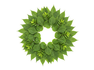 Fresh green leaf wreath