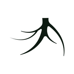 Root icon design template isolated illustration