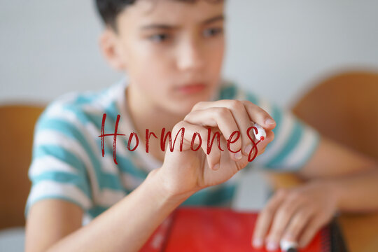 HORMONES. Childhood, pre-adolescence, and adolescence. preteen boy writing the text on the screen with a red marker