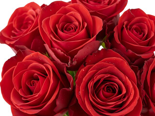 Obraz premium Vibrant red roses bouquet