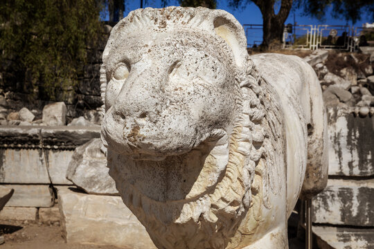 Ancient marble lion statue at the Temple of Apollo in Didim, Turkey