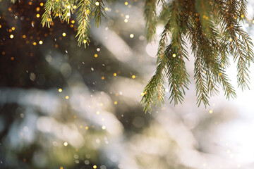 Fir branch with golden bokeh lights, festive winter background. High quality photo