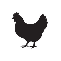 Hen: Facts, Breeds, Care, and Egg-Laying Guide © Sohale