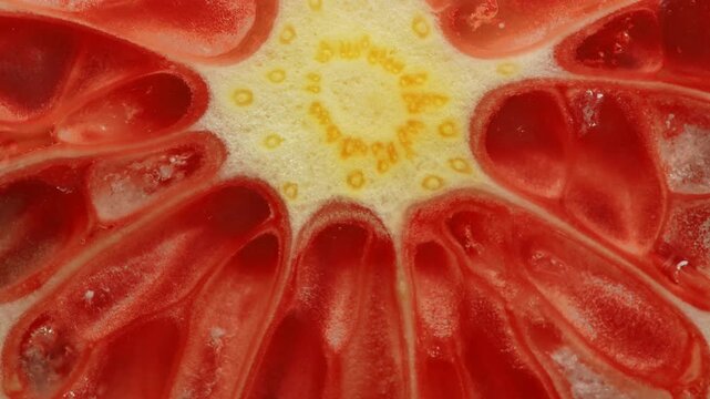 Macro close up of red grapefruit texture slowly rotating, highlighting vibrant citrus colors and detailed pulp structure. Ideal for food, abstract background, color, and health concepts.