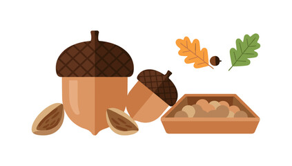 Autumn acorns and oak leaves: nature-inspired flat design elements