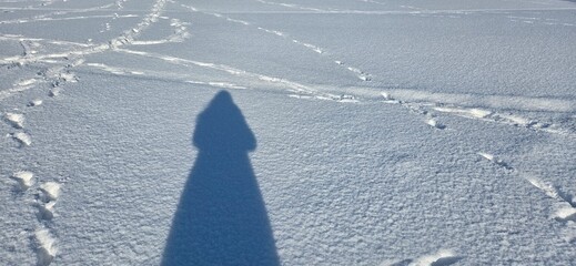 A human shadow stretches across snow crisscrossed with footprints. The contrast between sunlight and scattered tracks tells of a quiet presence, a passage through winter’s silence.