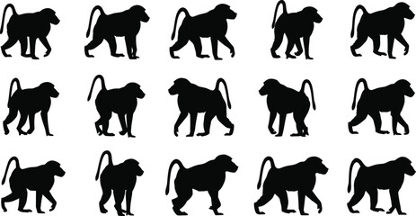 Baboon monkey silhouette illustration set, wild animal walking and standing poses collection, nature and wildlife primate icons, safari zoo fauna vector design elements, © It's Majed Here
